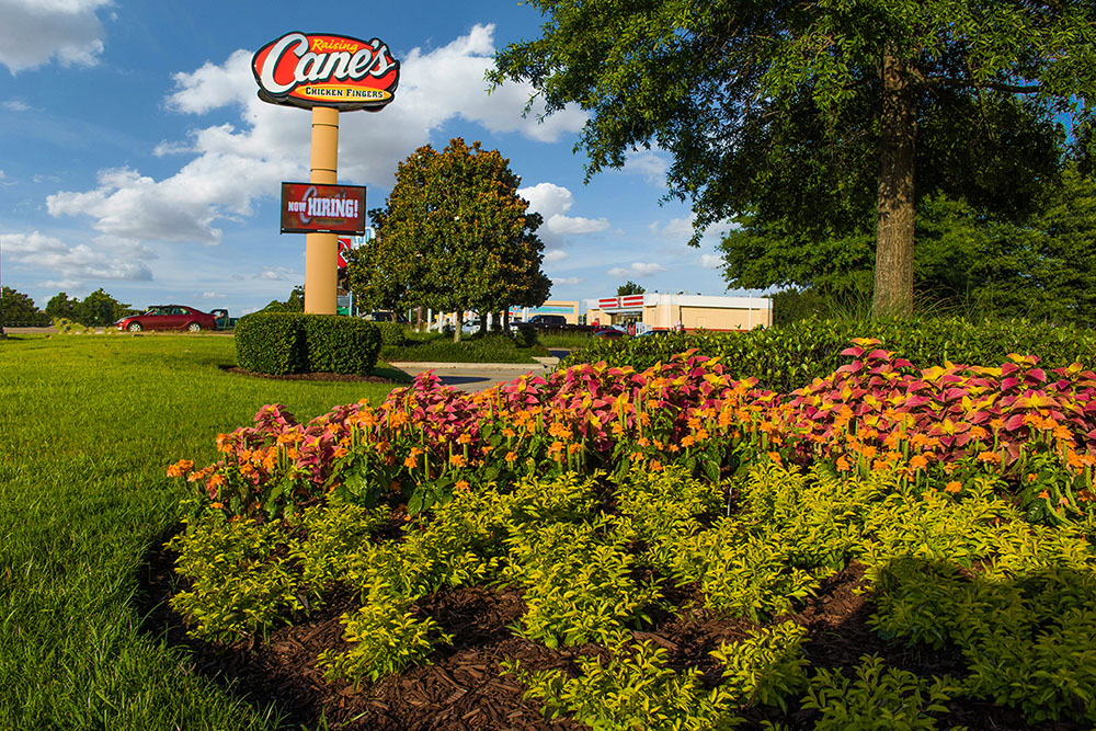 Landry's Landscape Portfolio